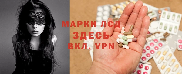 спиды Вяземский