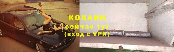 спиды Вяземский