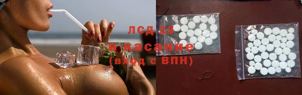 спиды Вяземский