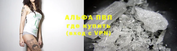 амф Горняк