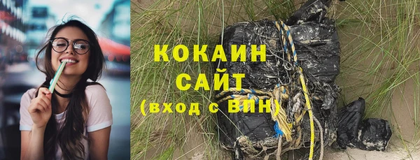 амф Горняк