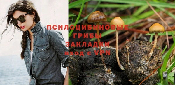спиды Вяземский