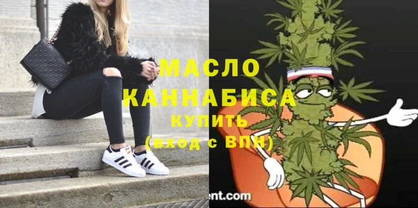 спиды Вяземский