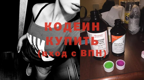 спиды Вяземский