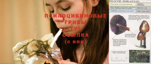 амф Горняк