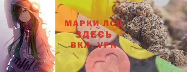 спиды Вяземский